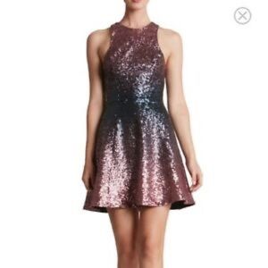 Dress the Population Andi sequin dress